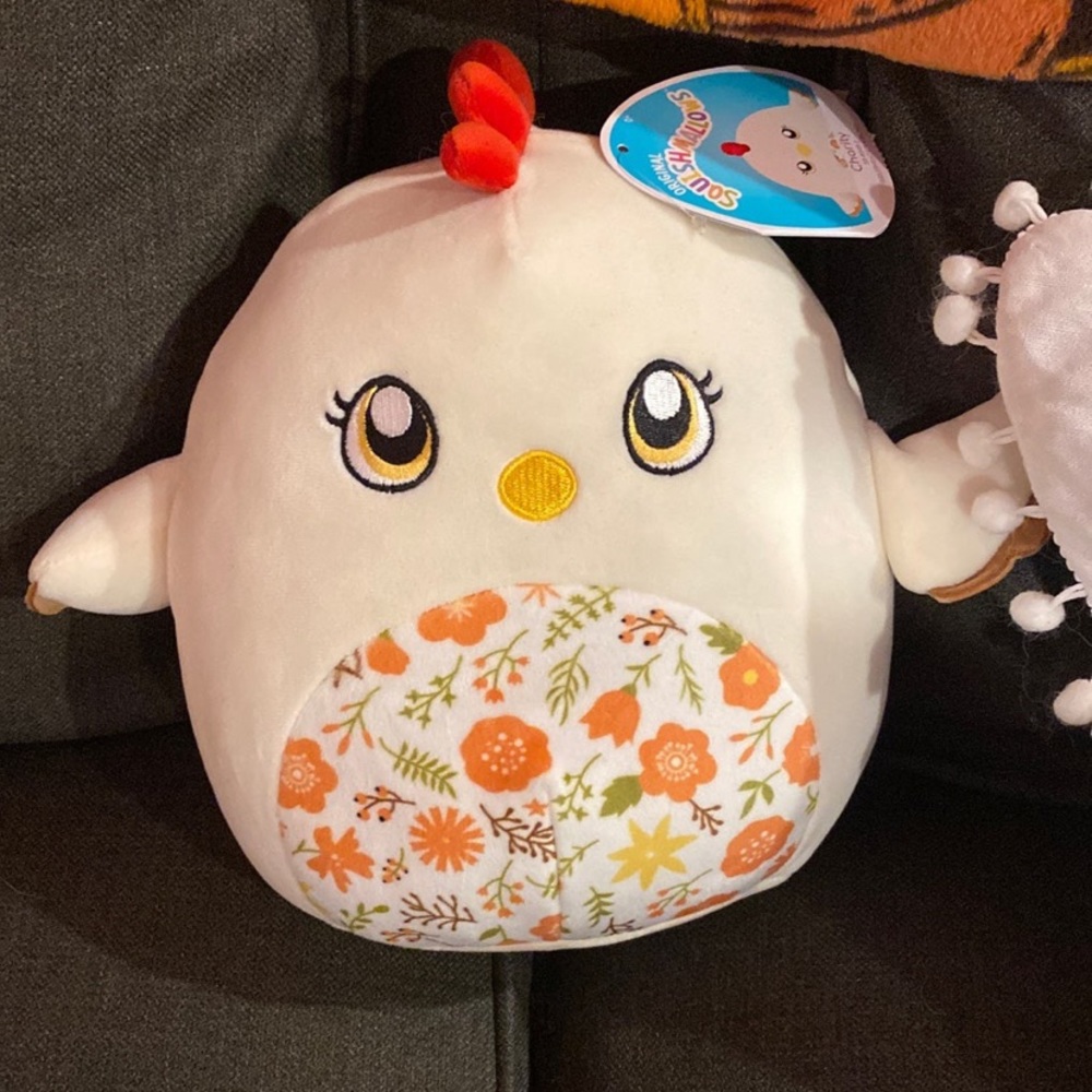 charity squishmallow